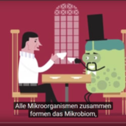 Watch which food is good for your microbiome!